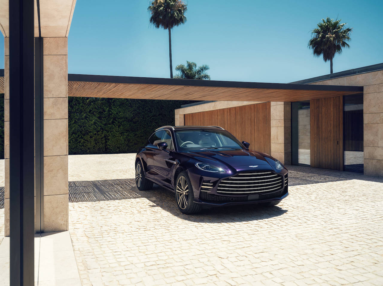 Aston-Martin-DBX-GT_1